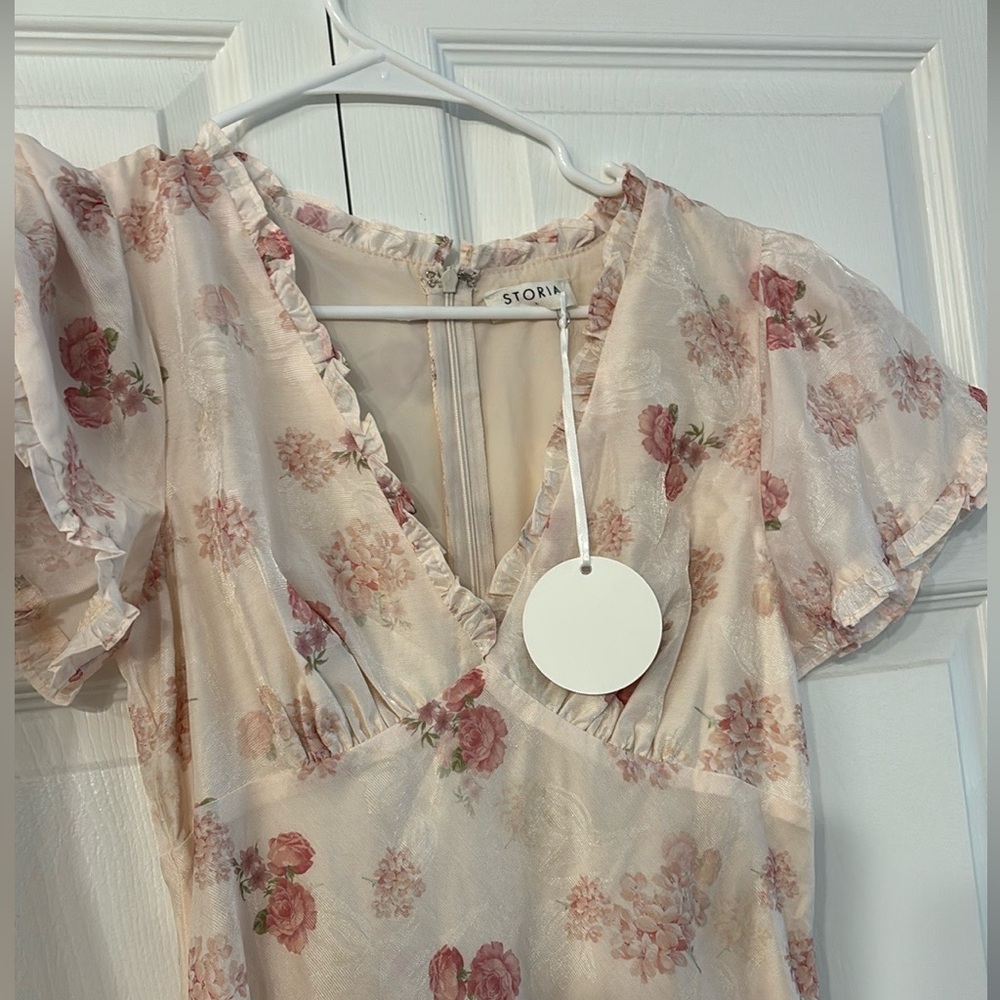 Vici White and Pink Floral Maxi Dress: Lorrie Floral Jacquard Maxi Dress - Picture 4 of 5
